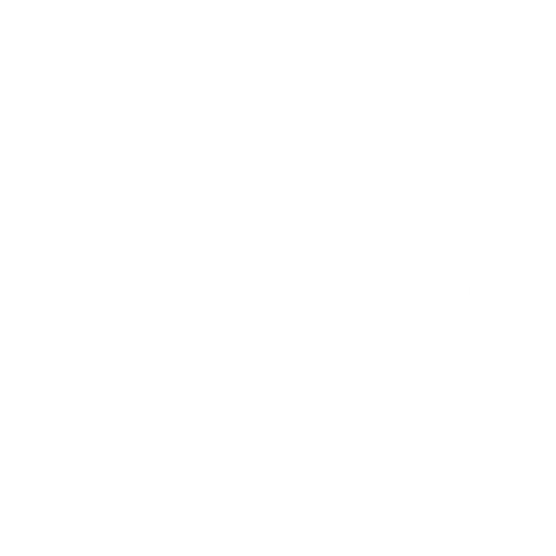 Seulivery